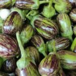 Brinjal (Baingan) Light Purple Green F1 Hybrid Seeds | High Germination & Yield - Image 2