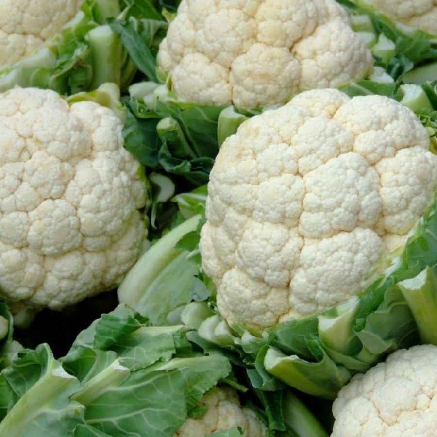 1 Cauliflower (Phool Gobhi) F1 Hybrid Seeds | High Germination | Terrace-Friendly - Image 1