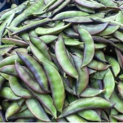 Sem Phali/Lima Beans F1 Hybrid Seeds | High Yield & Germination Seeds | Home Gardening