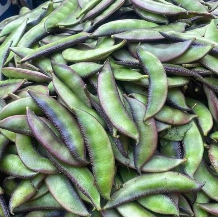 Sem Phali/Lima Beans F1 Hybrid Seeds | High Yield & Germination Seeds | Home Gardening - Image 1