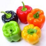 F1 Hybrid Multicolor Capsicum (Shimla Mirch) Vegetable Seeds | High Germination & Yield - Image 2
