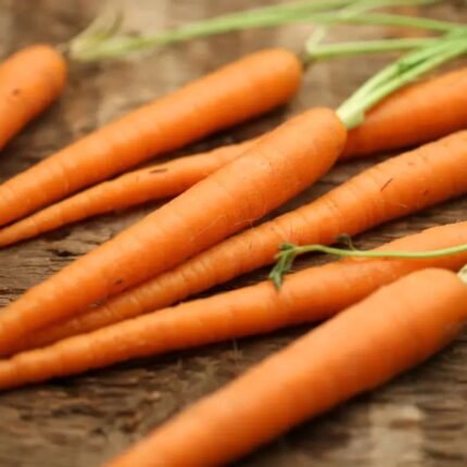 Carrot Nantes/Orange Gajar F1 Hybrid Vegetable Seeds
