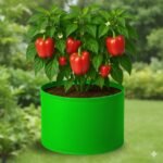 HDPE Circular Grow Bag 15x12 Inch | 260 GSM Plant Bags for Terrace Gardening