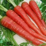 Deep Red Long Desi Carrot Vegetable Seeds - Image 2