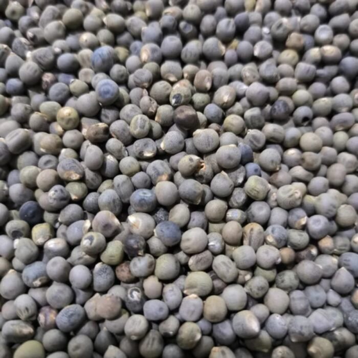 Okra (Lady Finger) F1 Hybrid Vegetable Seeds - Image 4