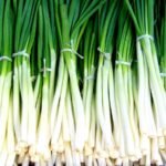 Spring Cut Bunching Onion (Hari Pyaj) Seeds | High Germination | Terrace Gardening Seeds - Image 2