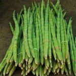 Moringa Drumstick (sahajan) Vegetable Seeds - Image 2
