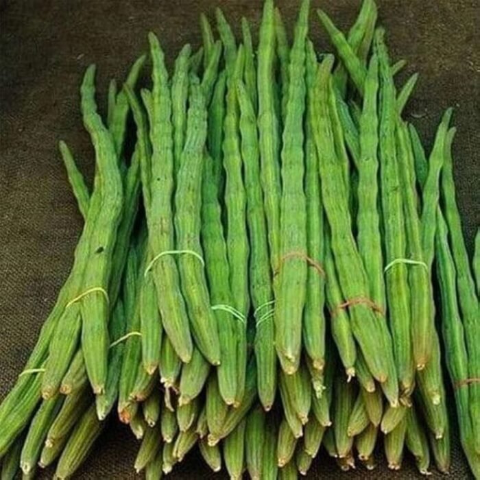 Moringa Drumstick (sahajan) Vegetable Seeds - Image 2
