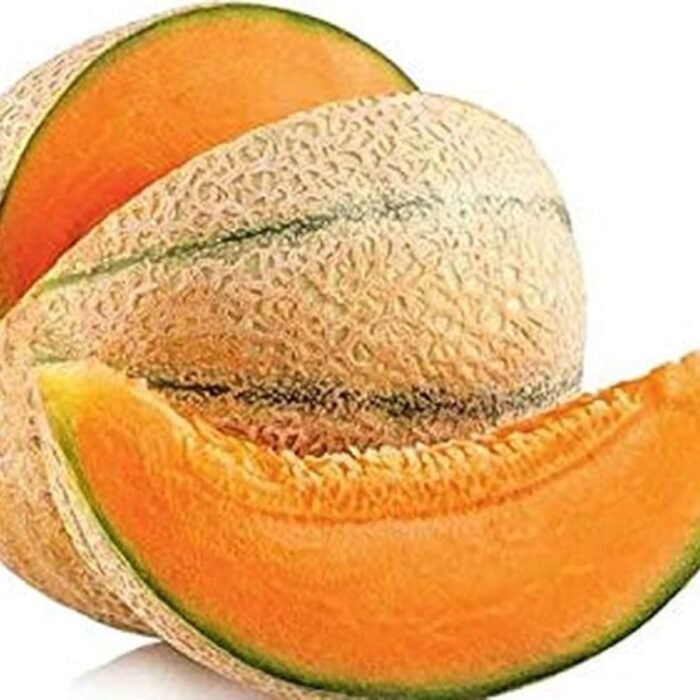 Round Musk Melon F1 Hybrid Seeds With Greenish Stripes | High Germination Rate - Image 3