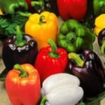 F1 Hybrid Multicolor Capsicum (Shimla Mirch) Vegetable Seeds | High Germination & Yield