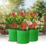 Premium HDPE Circular 8x8 Grow Bags for Terrace Garden | 260 GSM Green Plant Bags - Image 2