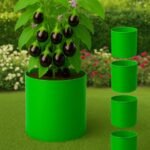 Premium HDPE Circular 10×10  Grow Bags | 260 GSM UV-Stabilized Grow Bags for Vegetables & Flowers - Image 3