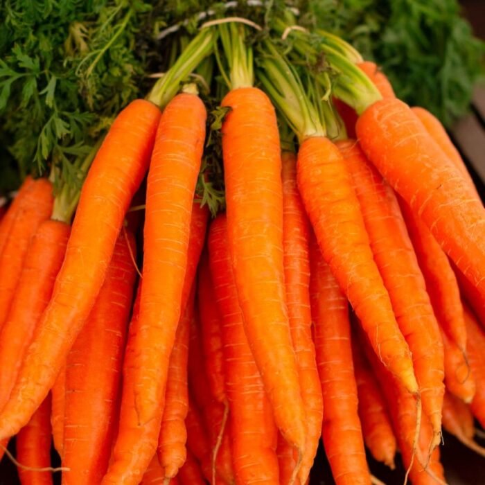 Carrot Nantes/Orange Gajar F1 Hybrid Vegetable Seeds - Image 2