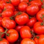 Tomato (Tamatar) F1 Hybrid Vegetable Seeds | High Germination | Suitable for Terrace - Image 2