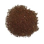F1 Hybrid Broccoli (Hari Gobhi) Seeds | Kitchen Gardening | High Germination | Terrace Garden Friendly - Image 3