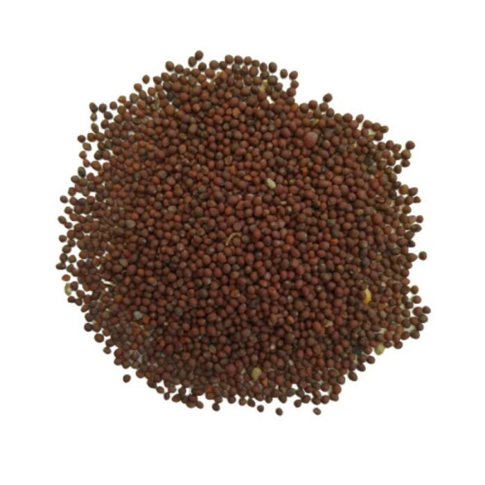 F1 Hybrid Broccoli (Hari Gobhi) Seeds | Kitchen Gardening | High Germination | Terrace Garden Friendly - Image 3