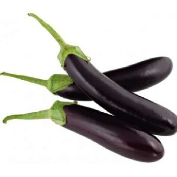 Long Brinjal F1 Hybrid Seeds (Dark Purple) | Baingan High Germination & Yield - Image 4