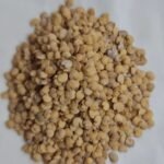 Brinjal (Baingan) Light Purple Green F1 Hybrid Seeds | High Germination & Yield - Image 3