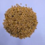 Desi Round Green Brinjal Seeds | High Germination & Yield Baingan | Terrace Gardening - Image 3