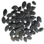 Ridge Gourd F1 Hybrid Turai Seeds | High Germination & Yield Seeds | Home Gardening - Image 4