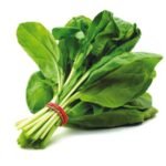 Spinach (Palak) F1 Hybrid Vegetable Seeds | High Germination & Yield | Easy to Grow - Image 3