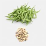 Gwar Phali/Cluster Beans F1 Hybrid Seeds | High Germination | Terrace Gardening Seeds - Image 3