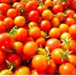 Juicy F1 Hybrid Cherry Tomato Seeds with High Germination - Image 3