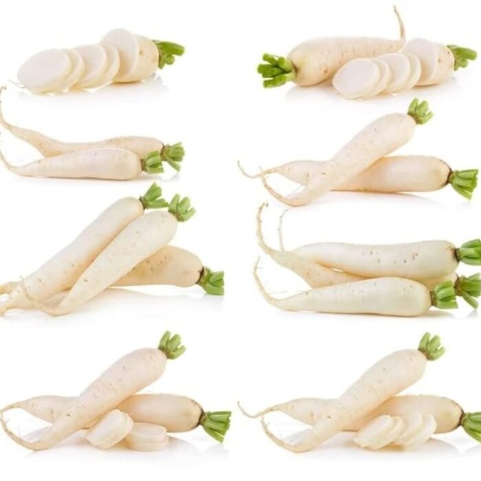 Radish (Mooli) White Long F1 Hybrid Vegetable Seeds - Image 5