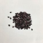 Spring Cut Bunching Onion (Hari Pyaj) Seeds | High Germination | Terrace Gardening Seeds - Image 4
