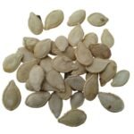 F1 Hybrid Pumpkin Vegetable Seeds | High Yield Kaddu Seeds - Image 4