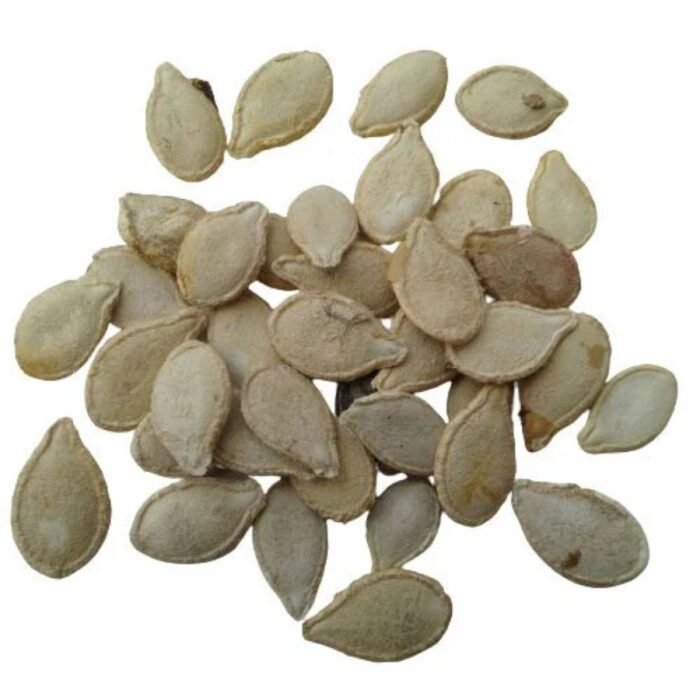 F1 Hybrid Pumpkin Vegetable Seeds | High Yield Kaddu Seeds - Image 4