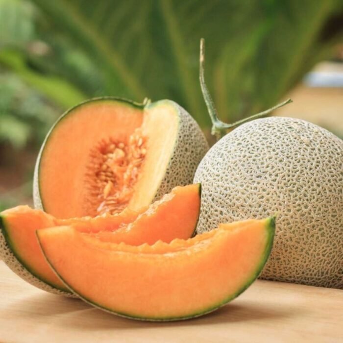 Muskmelon Kharbooza Madhuras Fast Germination F1 Hybrid Seeds - Image 3