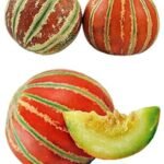 F1 Hybrid Musk Melon Kajri Seeds - Image 3