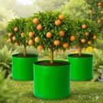 HDPE 18x18 Inch Circular Extra Thick Grow Bag | 260 GSM Bags for Terrace Gardening - Image 3