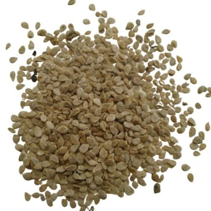 Tomato F1 Hybrid Vegetable Seeds - Image 3