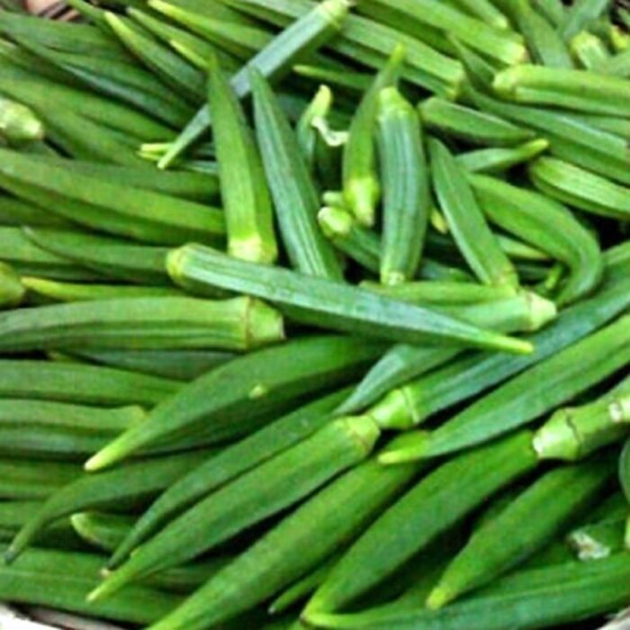Okra (Lady Finger) F1 Hybrid Vegetable Seeds - Image 3