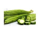 Ridge Gourd F1 Hybrid Turai Seeds | High Germination & Yield Seeds | Home Gardening - Image 3