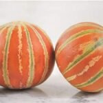 F1 Hybrid Musk Melon Kajri Seeds - Image 4