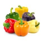 F1 Hybrid Multicolor Capsicum (Shimla Mirch) Vegetable Seeds | High Germination & Yield - Image 4