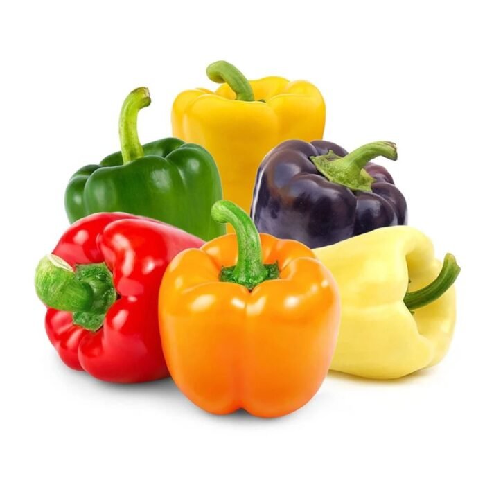 F1 Hybrid Multicolor Capsicum (Shimla Mirch) Vegetable Seeds | High Germination & Yield - Image 4