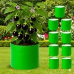 Premium HDPE Circular 10×10  Grow Bags | 260 GSM UV-Stabilized Grow Bags for Vegetables & Flowers - Image 4
