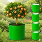 HDPE 18x18 Inch Circular Extra Thick Grow Bag | 260 GSM Bags for Terrace Gardening - Image 4