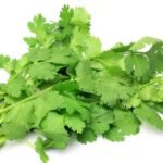 Coriander (Dhaniya) F1 Hybrid Seeds | High Germination & Yield Seeds | Home Gardening - Image 5