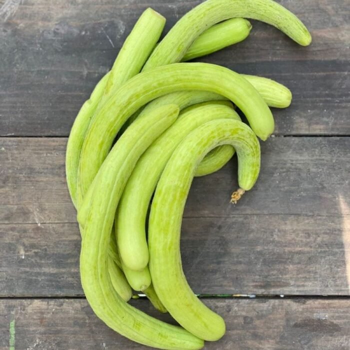 Kakri/Kakdi Long Melon Seeds | High Germination | Terrace Gardening Seeds - Image 4
