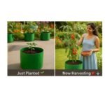 HDPE 12×12 Inch Round Grow Bag | 260 GSM UV-Stabilized Green Vegetables & Plants Bags - Image 5