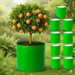 HDPE 18x18 Inch Circular Extra Thick Grow Bag | 260 GSM Bags for Terrace Gardening - Image 5