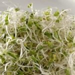 F1 Hybrid Broccoli (Hari Gobhi) Seeds | Kitchen Gardening | High Germination | Terrace Garden Friendly - Image 4