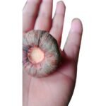- Image 5