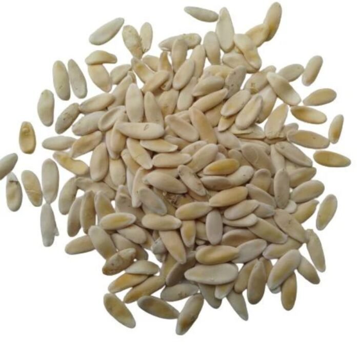 Kakri/Kakdi Long Melon Seeds | High Germination | Terrace Gardening Seeds - Image 5