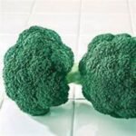 F1 Hybrid Broccoli (Hari Gobhi) Seeds | Kitchen Gardening | High Germination | Terrace Garden Friendly - Image 6